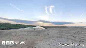 Body on Essex marshes turned out to be dead seal