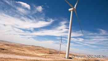 Lawyers warn of inexperienced 'cowboys' locking farmers into complex renewable energy contracts