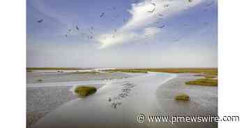 CGTN: Yellow River Culture Forum zeroes in on cradle of Chinese civilization