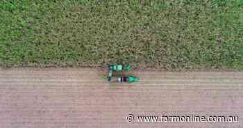 Cane farmers optimistic as sugar spikes at $804/tonne