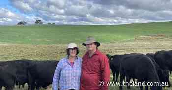 Angus preferred by 'grass producer' at Braidwood