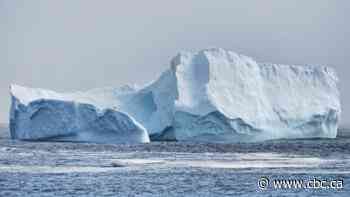 Fogberg: Picturesque iceberg in foggy Ferryland draws onlookers, photographers