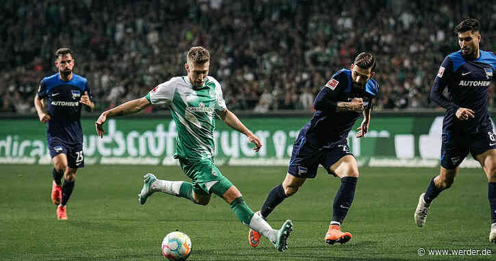 Ein Anker namens Pal