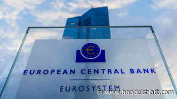 Inflation: Bestätigt: Preise im Euro-Raum steigen um 6,9 Prozent – Weniger Preisdruck in Österreich