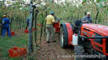 Ministerin: Italien fehlen eine Million Arbeitskräfte