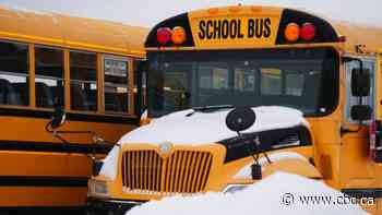Spring snowstorm rolls into southern Manitoba, impacting some school buses
