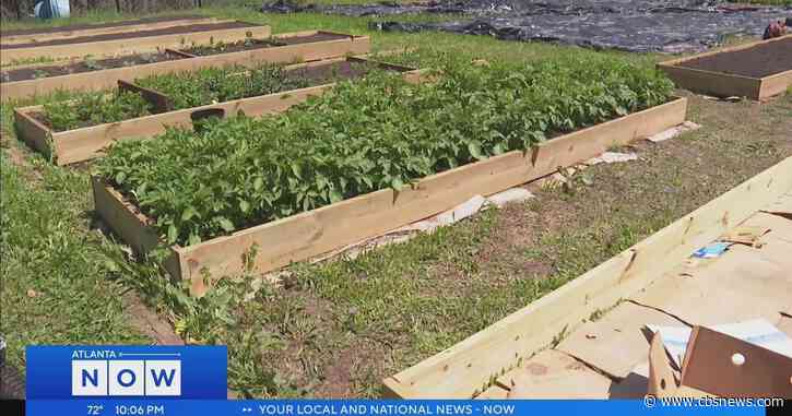 Georgia Gwinnett College's "Roots to Shoots" recycling program turns food waste to produce
