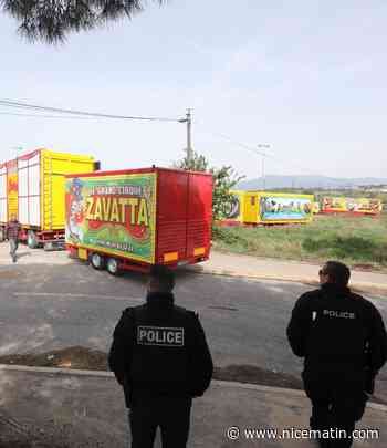 Nouvelle frasque du cirque Zavatta-Muller: l’un des gérants force l’entrée du MIN de Nice "pour acheter des carottes"