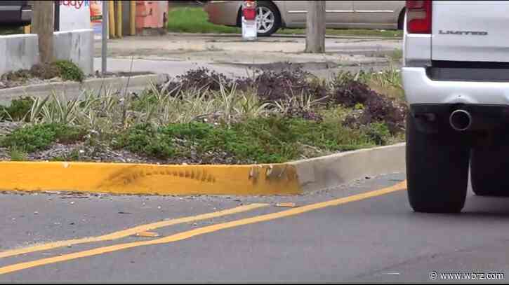 City-parish considering lower speed limit on Government Street