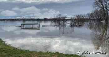 Parts of New Brunswick reach flood stage as Saint John River swells
