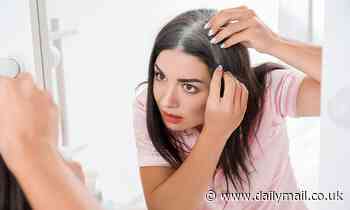 A cure for grey hair on the horizon? Scientists discover the mechanism for the color change