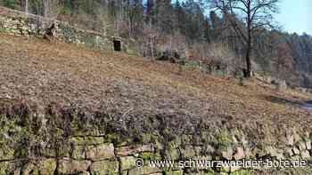 Trockenmauern Bad Teinach: Nach der Reparatur kommen die Ziegen