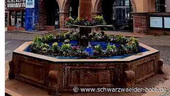 Calwer Frühling: Aktionen rund um den verkaufsoffenen Feiertag