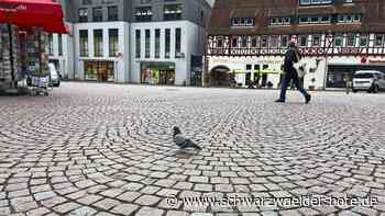 Plage in Calw?: Kein Taubenschlag  geplant
