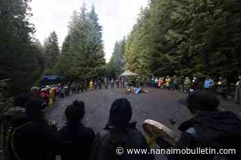 Fairy Creek old-growth protesters celebrate as contempt prosecution has ‘collapsed’