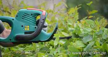 Kitzingen: Gehwege und Straßen von Überhang befreien - warum Grundstücksbesitzer gefordert sind