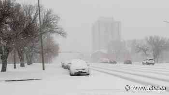 Snowfall, winter storm warnings in effect for southeastern Saskatchewan