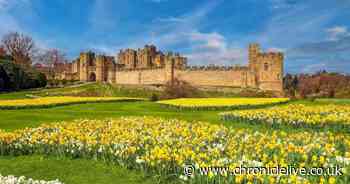 Alnwick Castle to host screening of King Charles' coronation