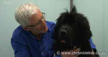 Dogs will line the streets for late Paul O'Grady's funeral in stunning tribute