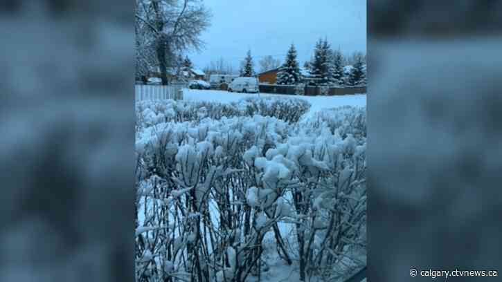 Snowfall warning issued in southern Alberta because of Colorado Low
