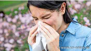 Pollenflugkalender 2023: Welche Pollen fliegen im April und wie kann ich mich schützen?