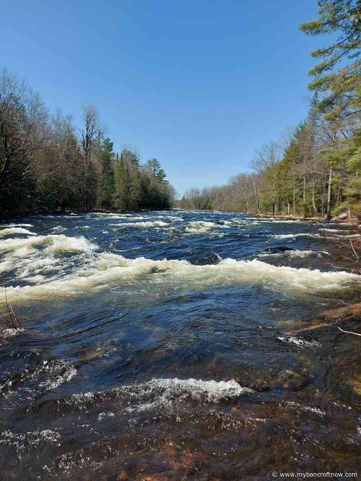 Flood Warning issued for four rivers in region
