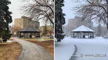 Snowfall, winter storm warnings in effect for southeastern Saskatchewan