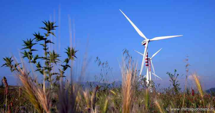 La transizione ecologica che l’Italia sta attuando è un Far West. Non mi resta che disperarmi