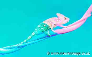 UK General rebrands amid product shake up