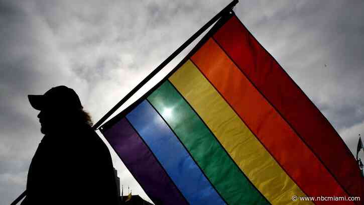 Florida Board Passes DeSantis' Expansion of Law Labeled ‘Don't Say Gay' by Critics