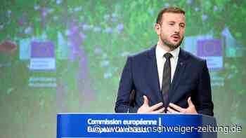 EU: Grüner Wandel braucht 600 Milliarden Euro pro Jahr