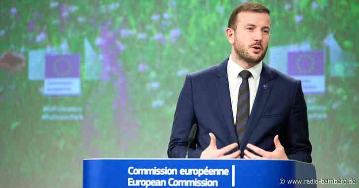 EU: Grüner Wandel braucht 600 Milliarden Euro pro Jahr