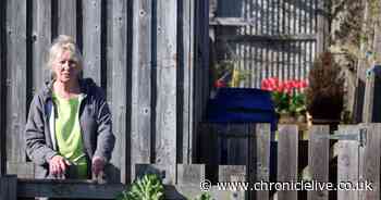 County Durham widow's heartbreak after being given notice on allotment she tended with late husband
