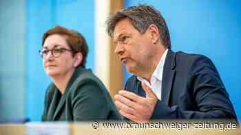 Habecks Heizungspläne: Trotz Förderung ist nicht alles gut