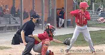Young umpire calls 'em as he sees 'em, fills need in IHSA