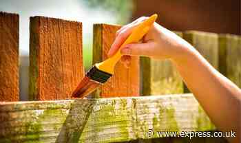 Neighbour demands man repaints 'ugly' fence as he hates the colour