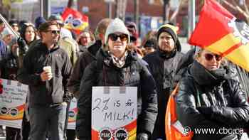 Hundreds of Hamilton CRA workers picket as part of massive Canada-wide public service strike