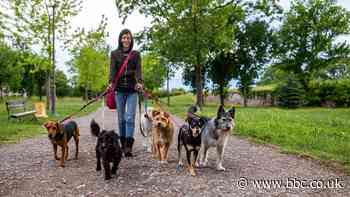 10 tips for starting a business from junior entrepreneurs