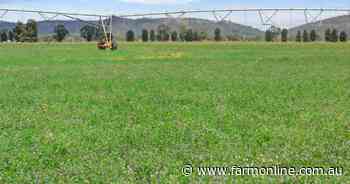 First class irrigation, dryland cropping and grass fed cattle operation