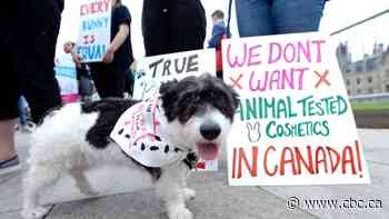 Federal budget bill goes after cosmetics testing that causes 'pain or suffering' to animals
