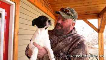Sask. dog rescue looks back on 30 years rehabilitating dogs