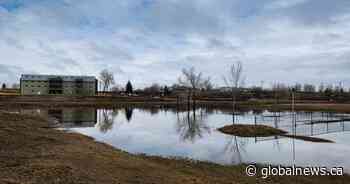 Saskatchewan’s WSA says flood risk won’t increase despite snowfall