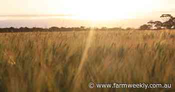 Don't be too optimistic about tariffs