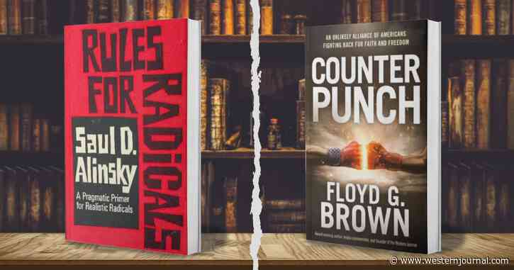 Conservative Version of Alinksy's 'Rules for Radicals' Could Bring America Back from the Brink