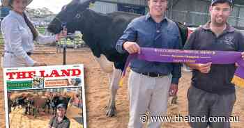 Persistence pays off for dairy with clever thinking after floods
