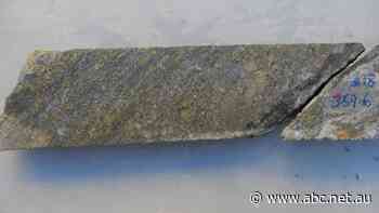 'High-grade' gold find tipped to bring wealth, jobs to Queensland region