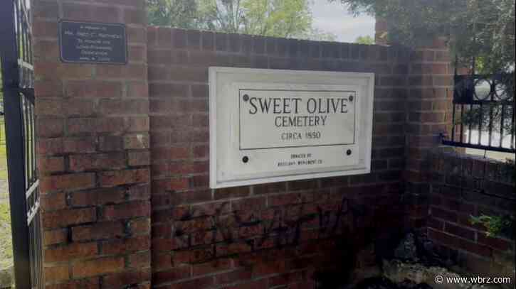 Volunteers chip away at lengthy to-do list at blighted Sweet Olive Cemetery