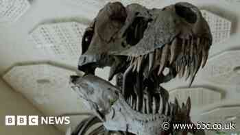 T. rex skeleton sells for more than $6m