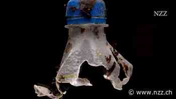 Nestlé und der Plastikmüll: Tut der Nahrungsmittelriese genug, um von Plastikverpackungen wegzukommen?