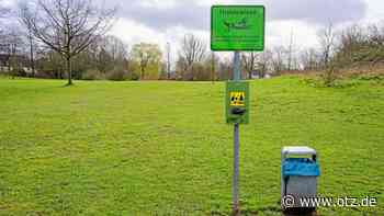 Meinung: Hundewiesen statt Hetzjagd